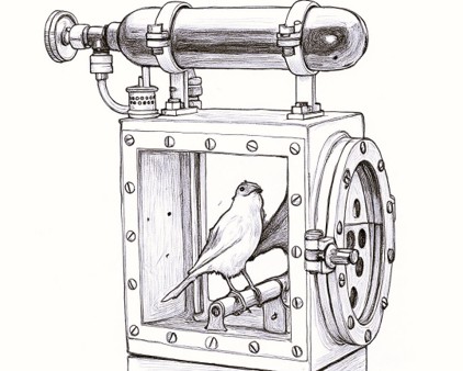 Nicolas Verschueren - Canari 3 2025